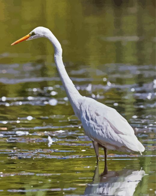 White Egrets Birds Painting By Numberss.png
