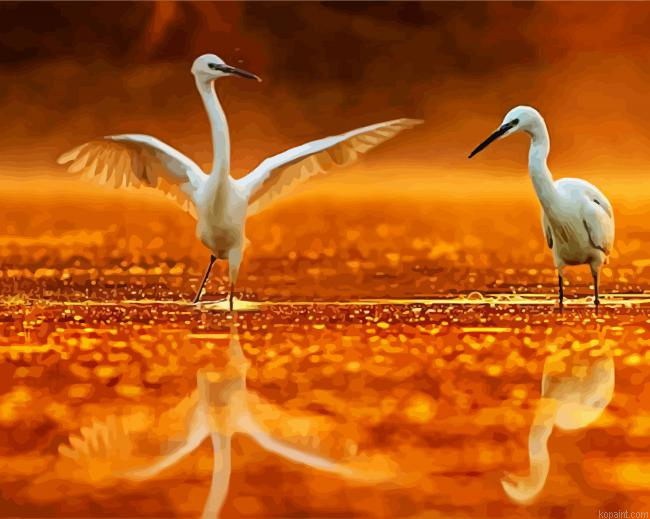 White Egrets Painting By Numberss.png