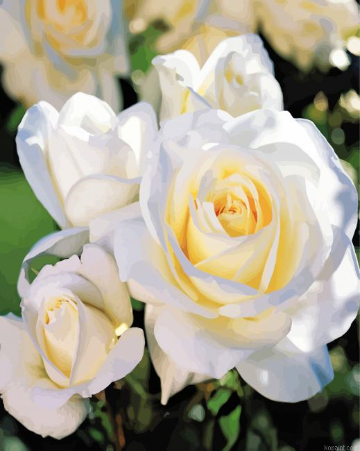 White Floribunda Flowers Paint By Numbers