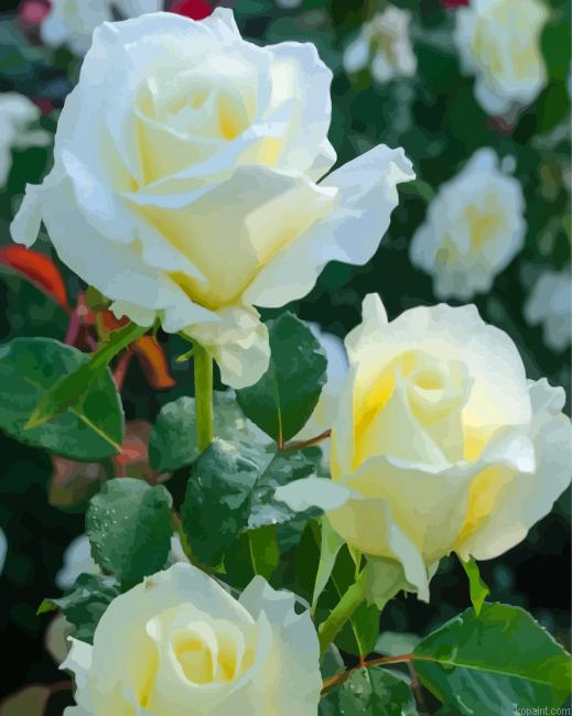 White Floribundas Painting By Numberss.png