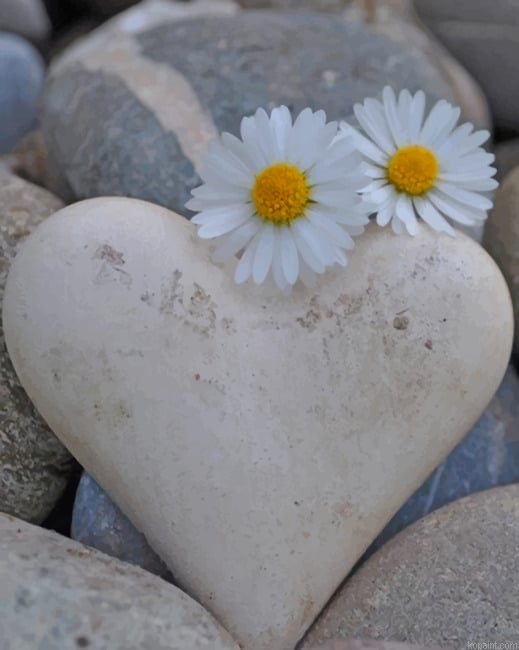 White Flowers And Heart Shape New Painting By Numberss.png