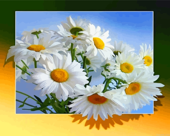 White Flowers Paint By Numbers