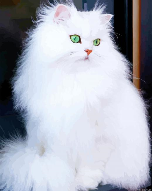 White Fluffy Cats Painting By Numberss.png