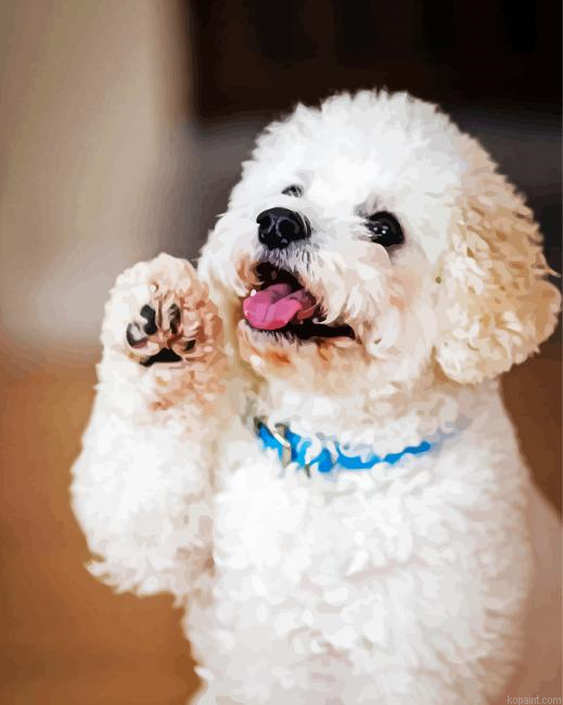 White Fluffy Dog Painting By Numberss.png