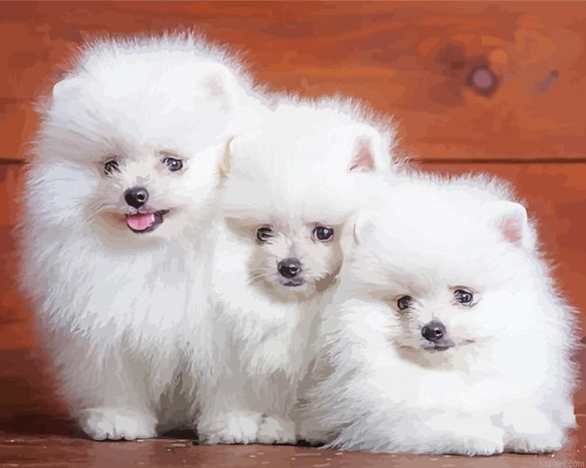 White Fluffy Puppies Painting By Numberss.png