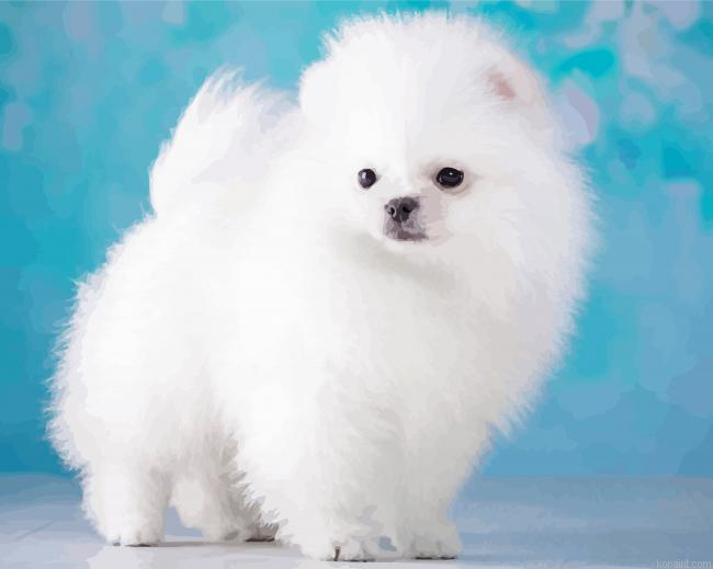 White Fluffy Puppy Painting By Numberss.png