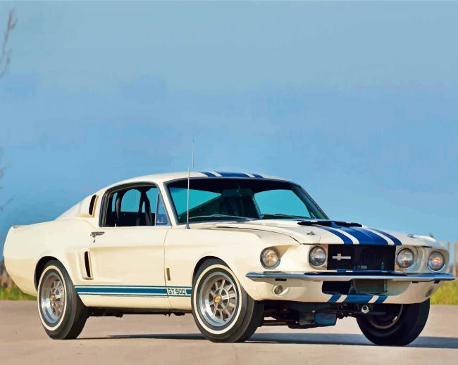 White Ford Gt 500 Painting By Numberss.png