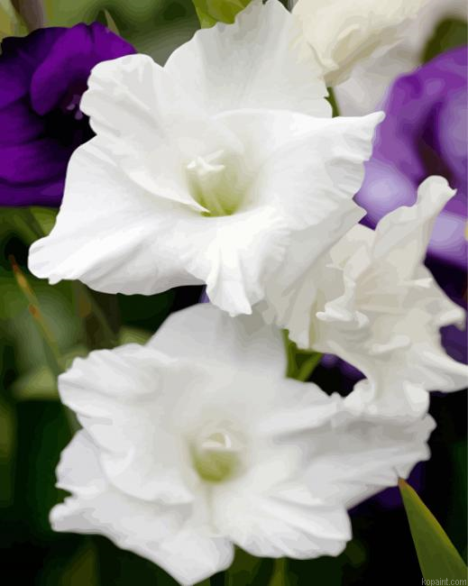 White Gladiola Painting By Numberss.png