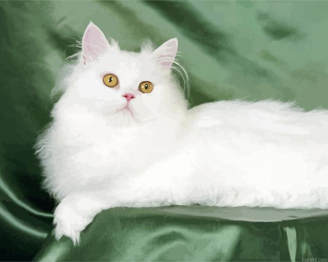 White Himalayan Cat Painting By Numberss.png