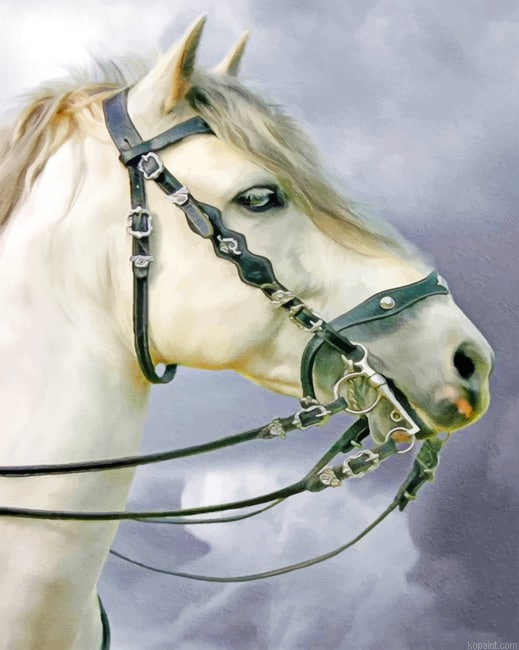 White Horse Animals Painting By Numberss.png