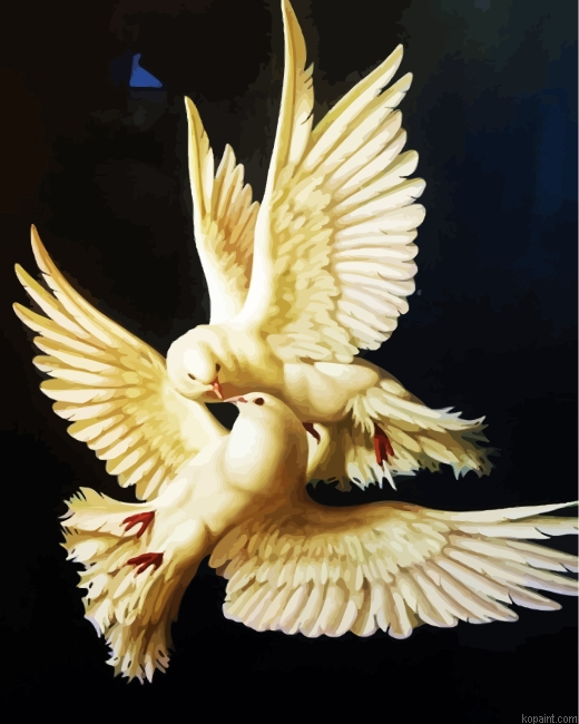 White Intimates Doves Painting By Numberss.png