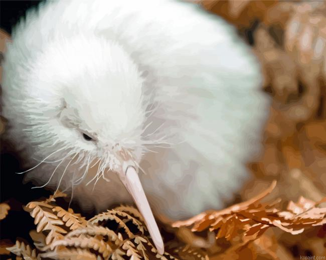 White Kiwi Bird Painting By Numberss.png