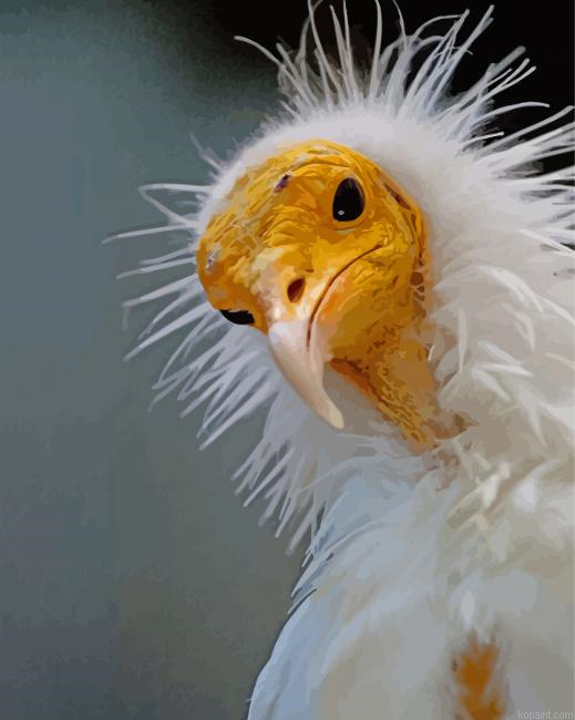 White Messy Bird Painting By Numberss.png