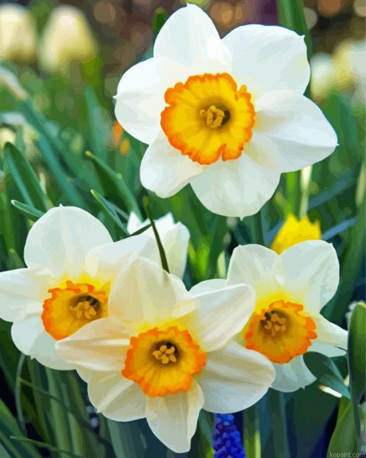 White Narcissus Flowers Painting By Numberss.png
