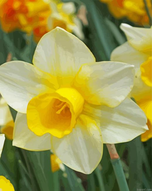 White Narcissus Painting By Numberss.png