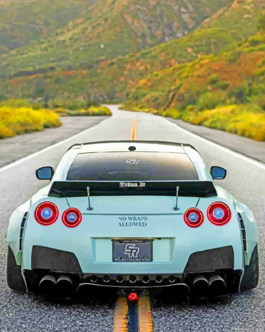 White Nissan Gtr Painting By Numberss.png