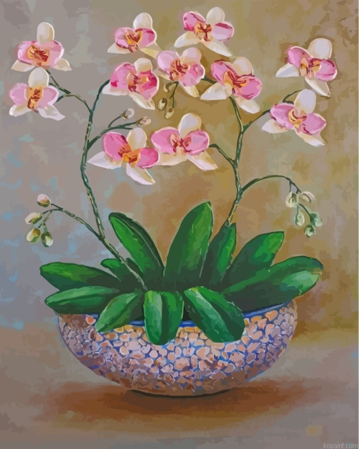 White Orchid Flowers Painting By Numberss.png