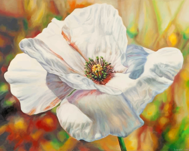 White Poppy Anemone Painting By Numberss.png