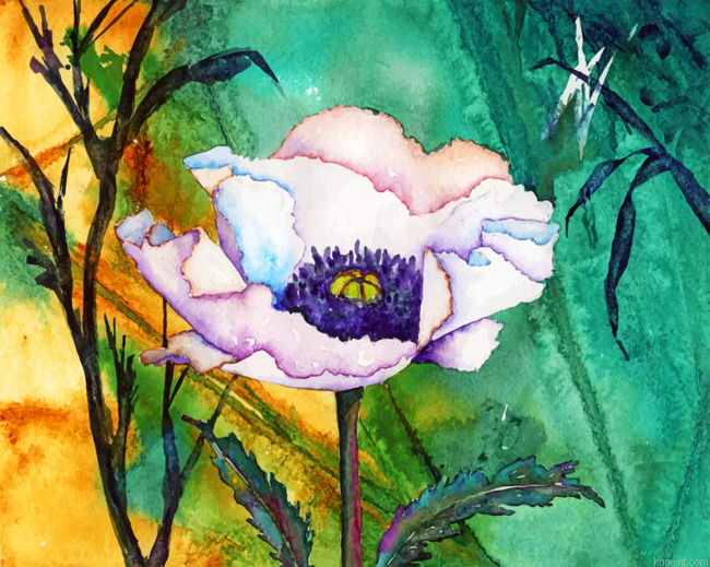 White Poppy Art Painting By Numberss.png
