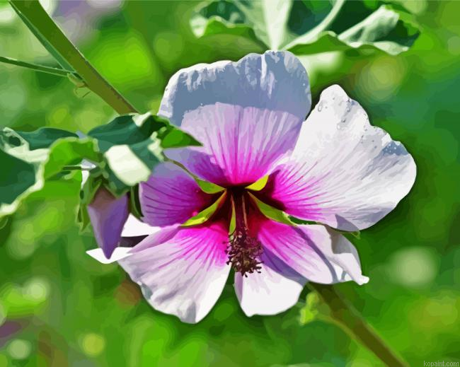 White Purple Hollyhock Paint By Numbers