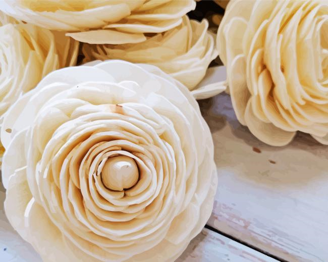 White Ranunculus Flowers Paint By Numbers