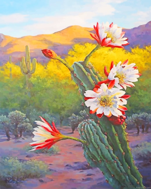 White Red Flowers And Cactus New Painting By Numberss.png