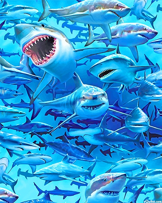 White Sharks Frenzy Beach New Painting By Numberss.png