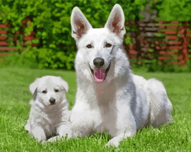 White Shepherd Dogs Painting By Numberss.png