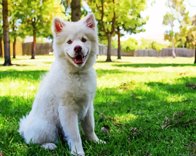 White Siberian Husky Puppy Painting By Numberss.png