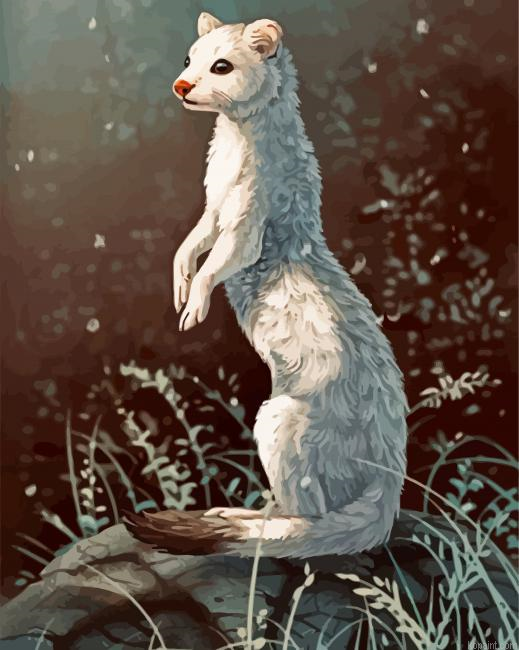 White Stoat Animal Painting By Numberss.png