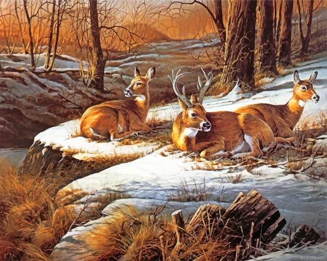 White Tailed Deers Painting By Numberss.png