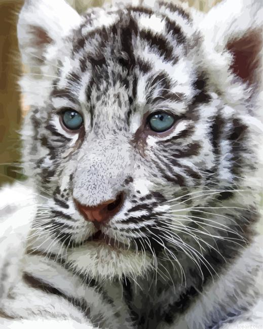 White Tiger Baby Cub Painting By Numberss.png