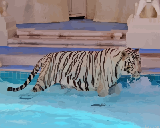 White Tiger In The Pool Painting By Numberss.png