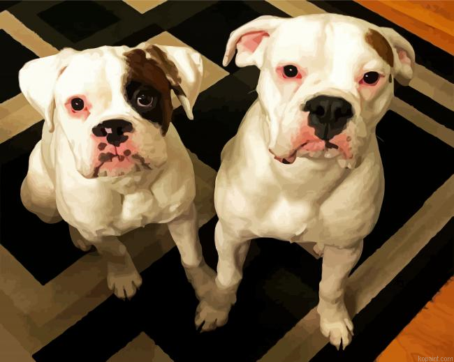 White Two Boxers Dogs Painting By Numberss.png