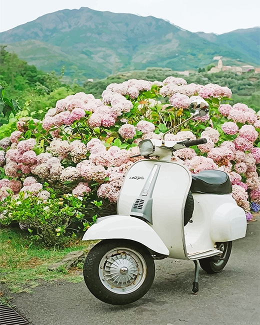 White Vespa Scooter New Painting By Numberss.png