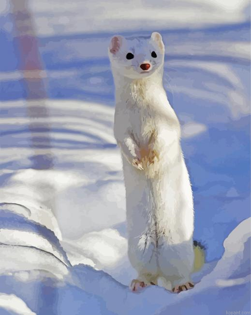 White Weasel Paint By Numbers.png