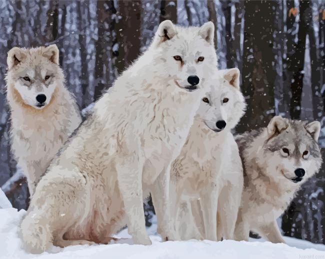 White Wolves In The Snow Painting By Numberss.png
