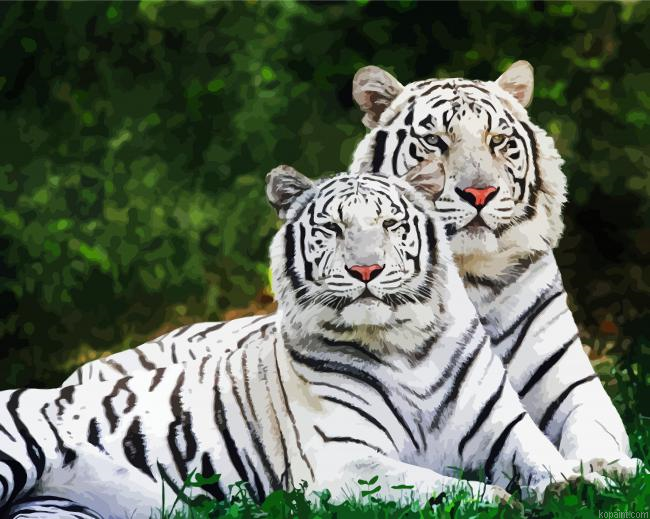 White Tigers Paint By Numbers.png