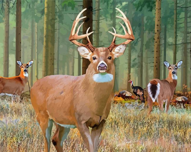 Whitetail Deer Painting By Numberss.png