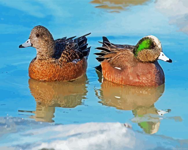 Wigeons Birds Paint By Numbers.png
