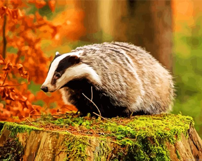 Wild Badger Painting By Numberss.png