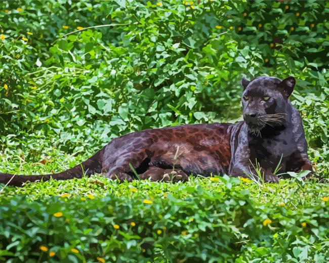 Wild Black Big Cat Painting By Numberss.png