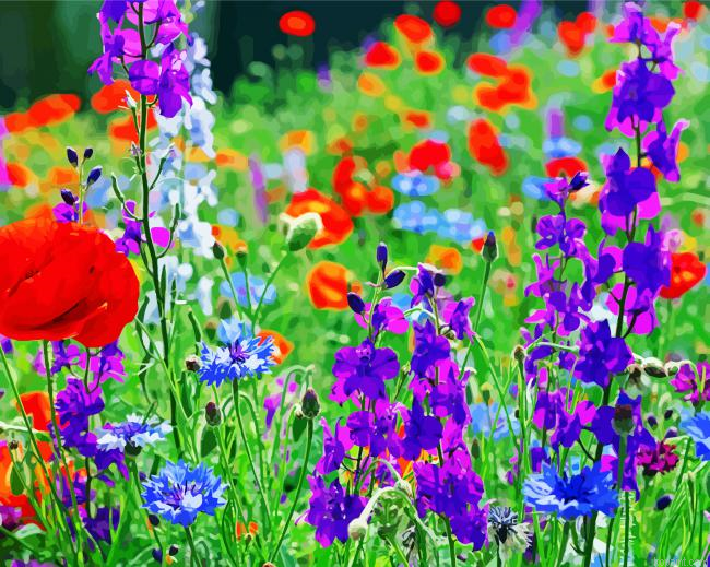 Wild Colorful Flowers Meadow Paint By Numbers