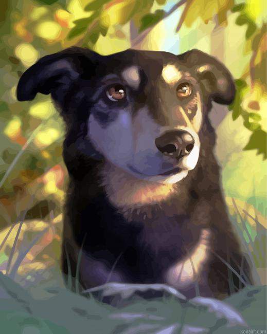 Wild Dog Painting By Numberss.png