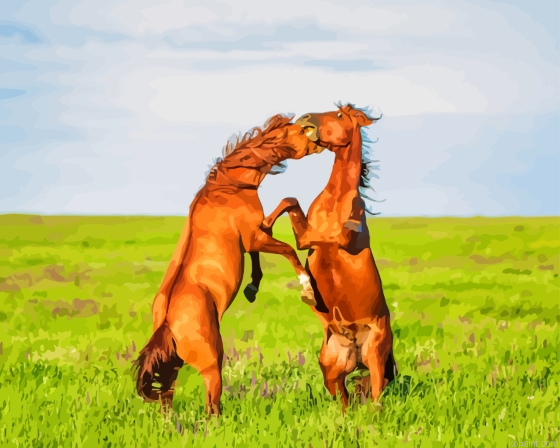 Wild Horse Fighting Painting By Numberss.png
