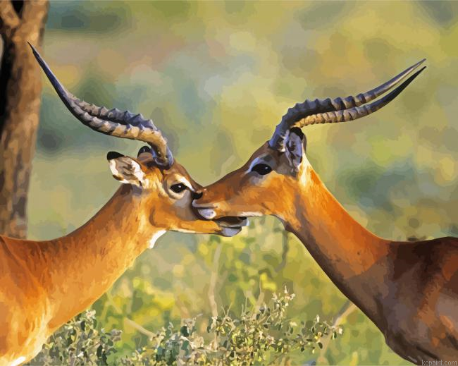 Wild Impalas Antelope Painting By Numberss.png