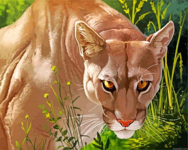 Wild Lion Painting By Numberss.png