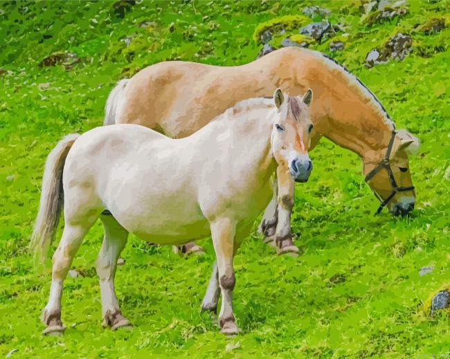 Wild Norwegian Fjord Horses Painting By Numberss.png