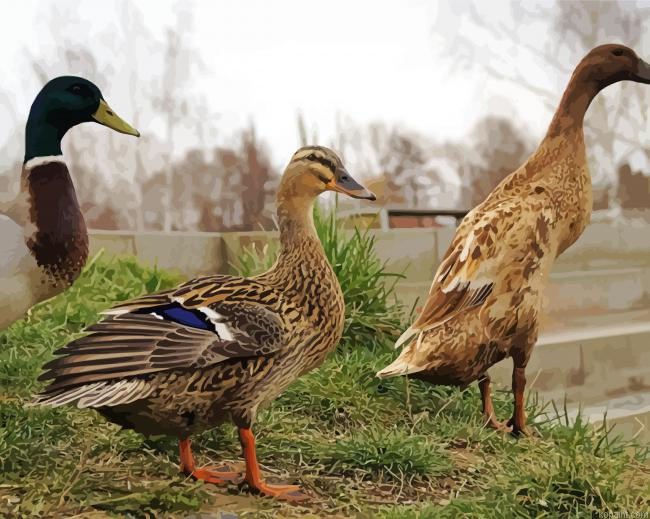 Wild Runner Ducks Painting By Numberss.png
