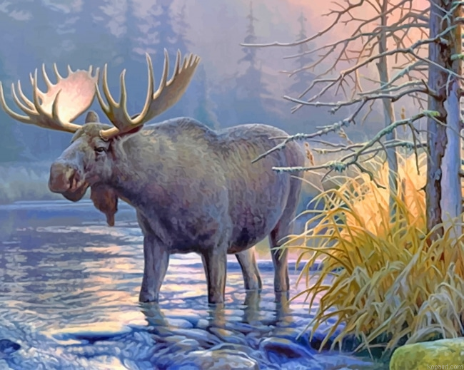 Wildlife Lake Moose New Painting By Numberss.png